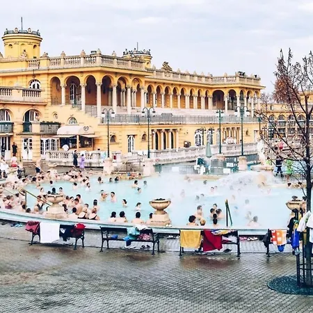 Lejlighed Chic 3br Gem In The Heart Of Budapest- Walk To Krudy St